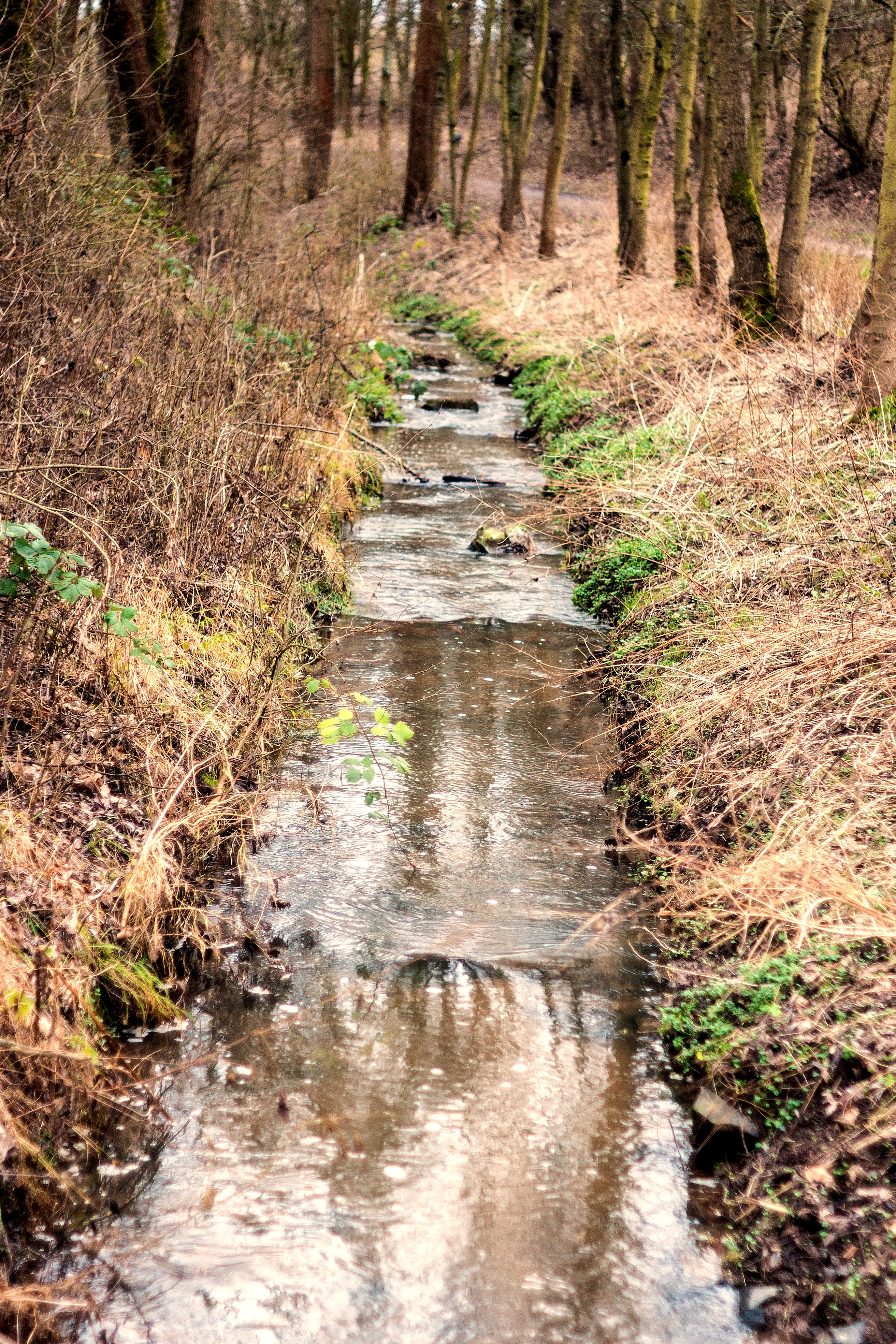 stream