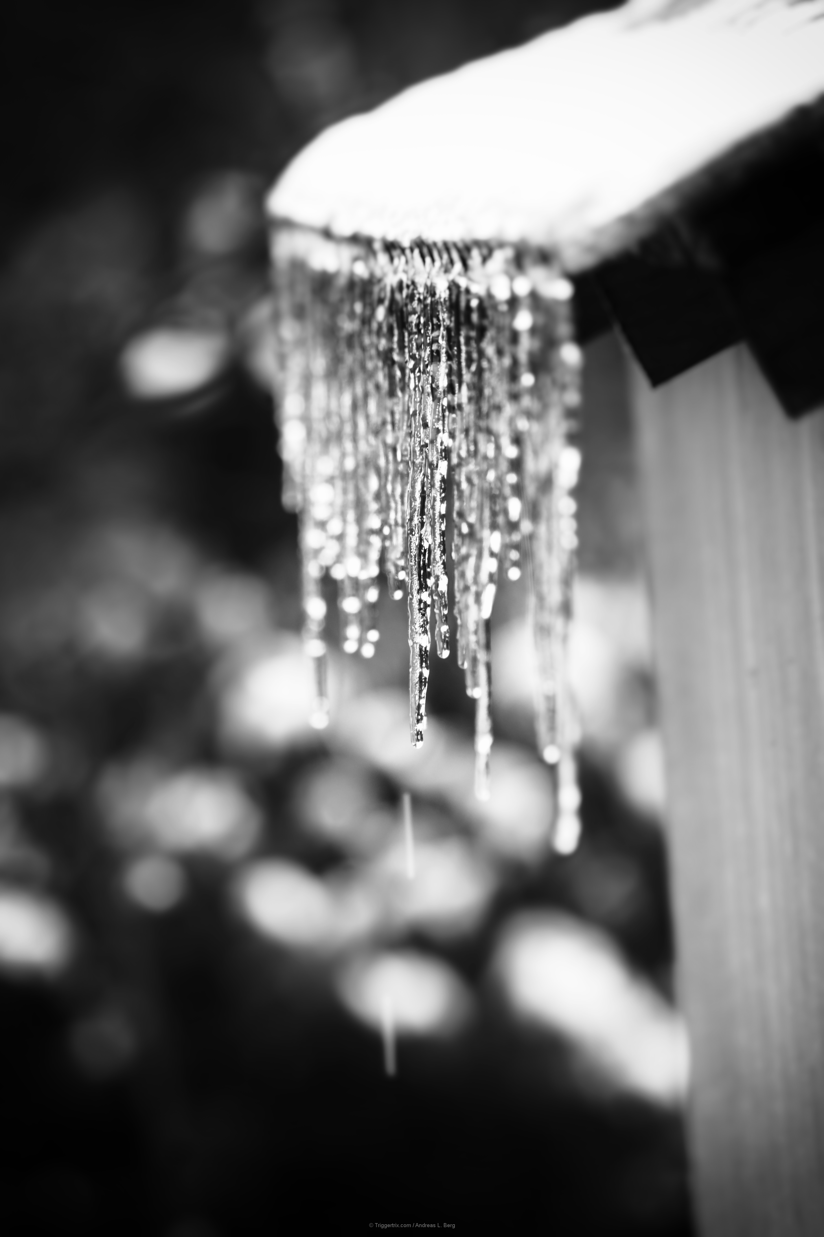 icicle