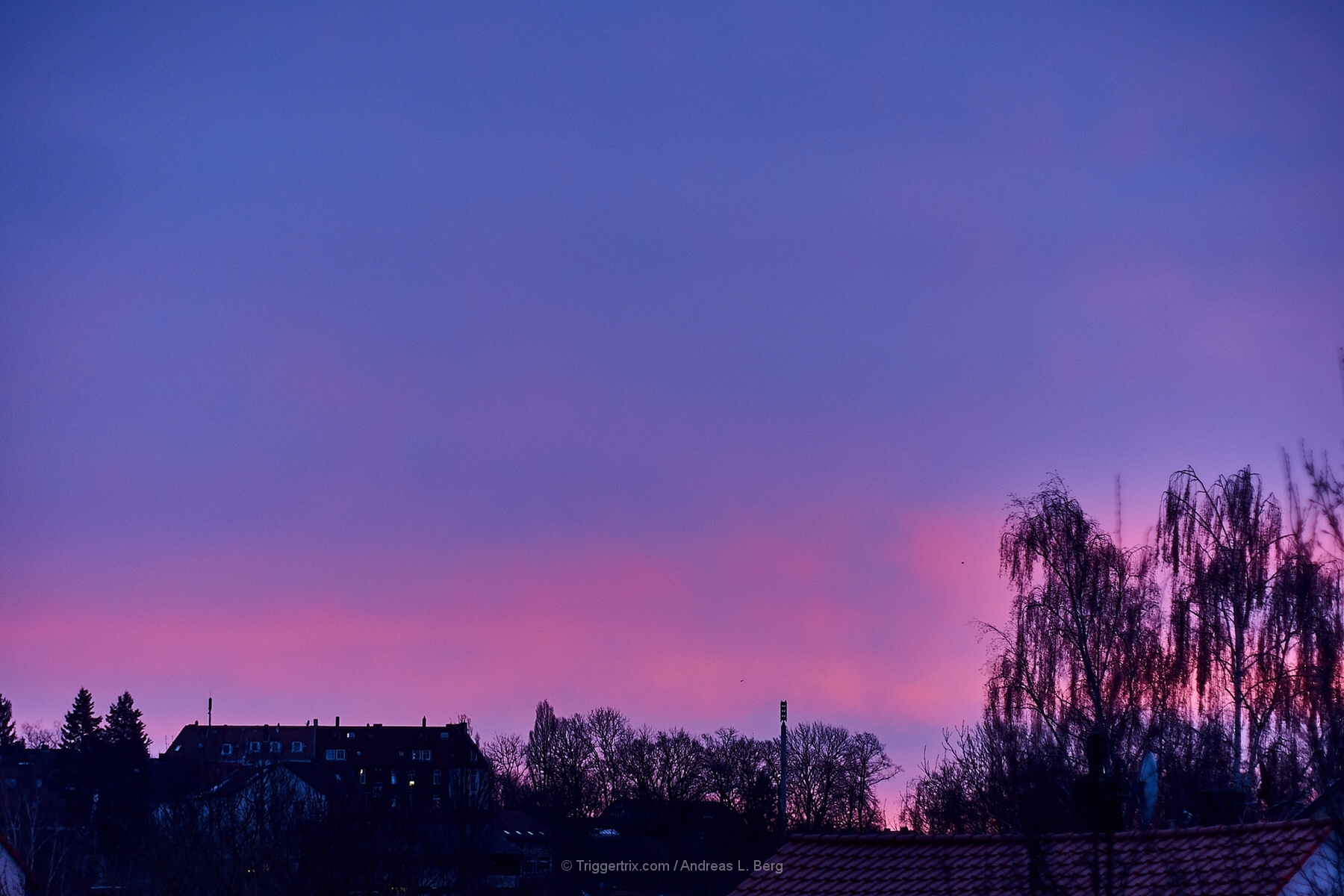 dawn