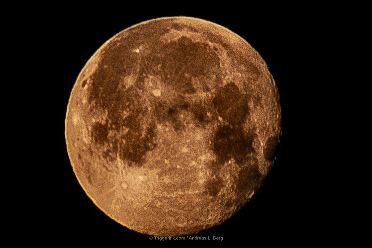 shoot the moon