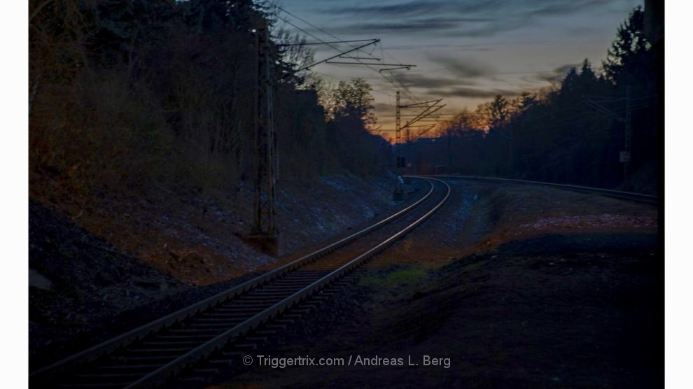 Into the Night