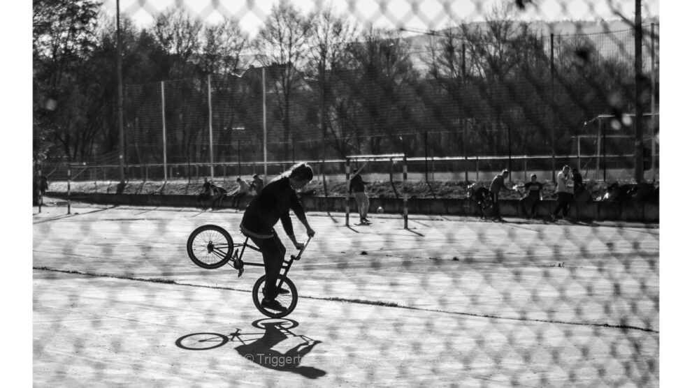 fenced