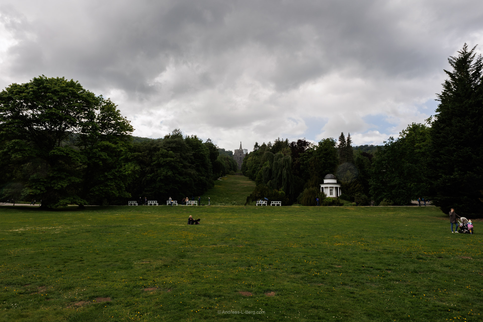 spring in the park