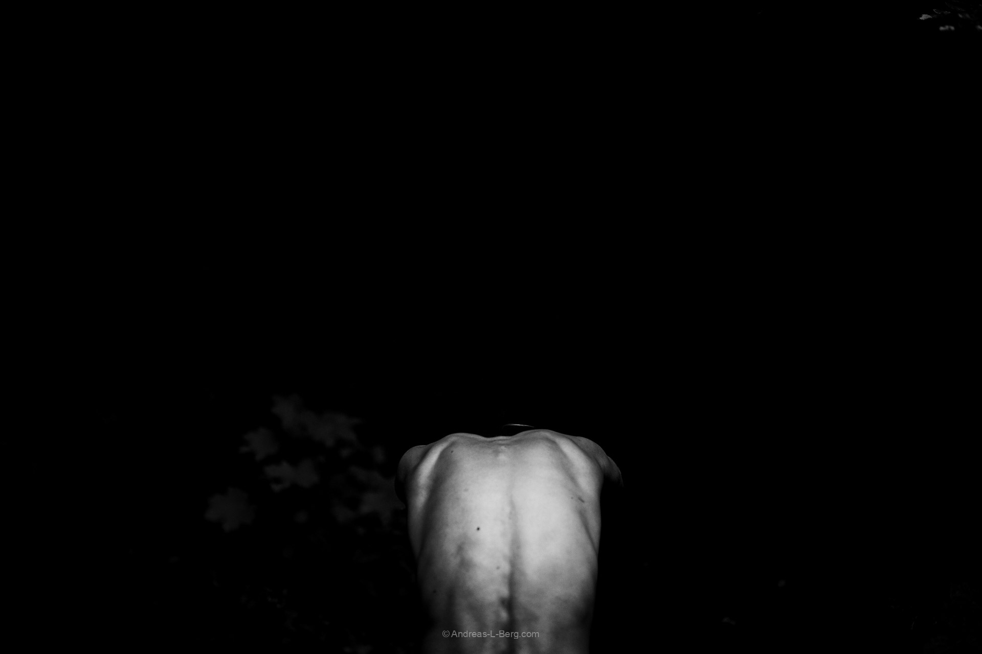 body parts
