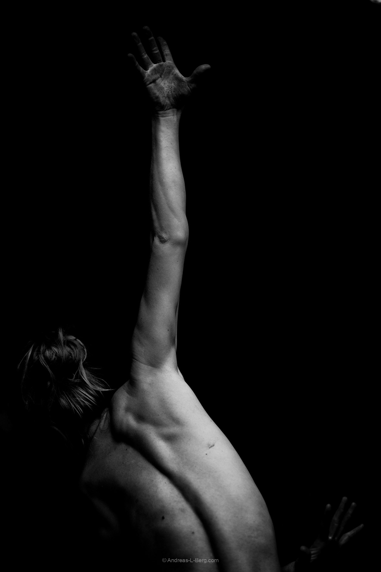 body parts