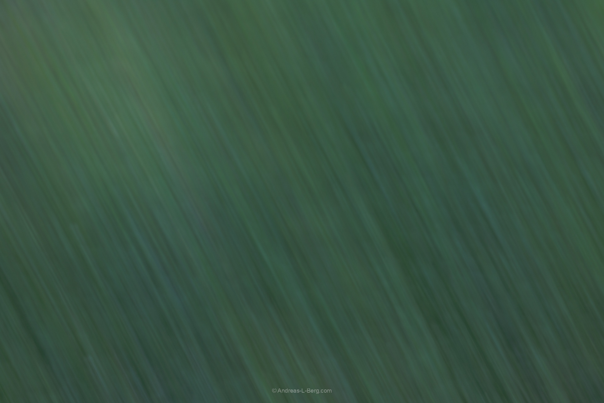 a study of water