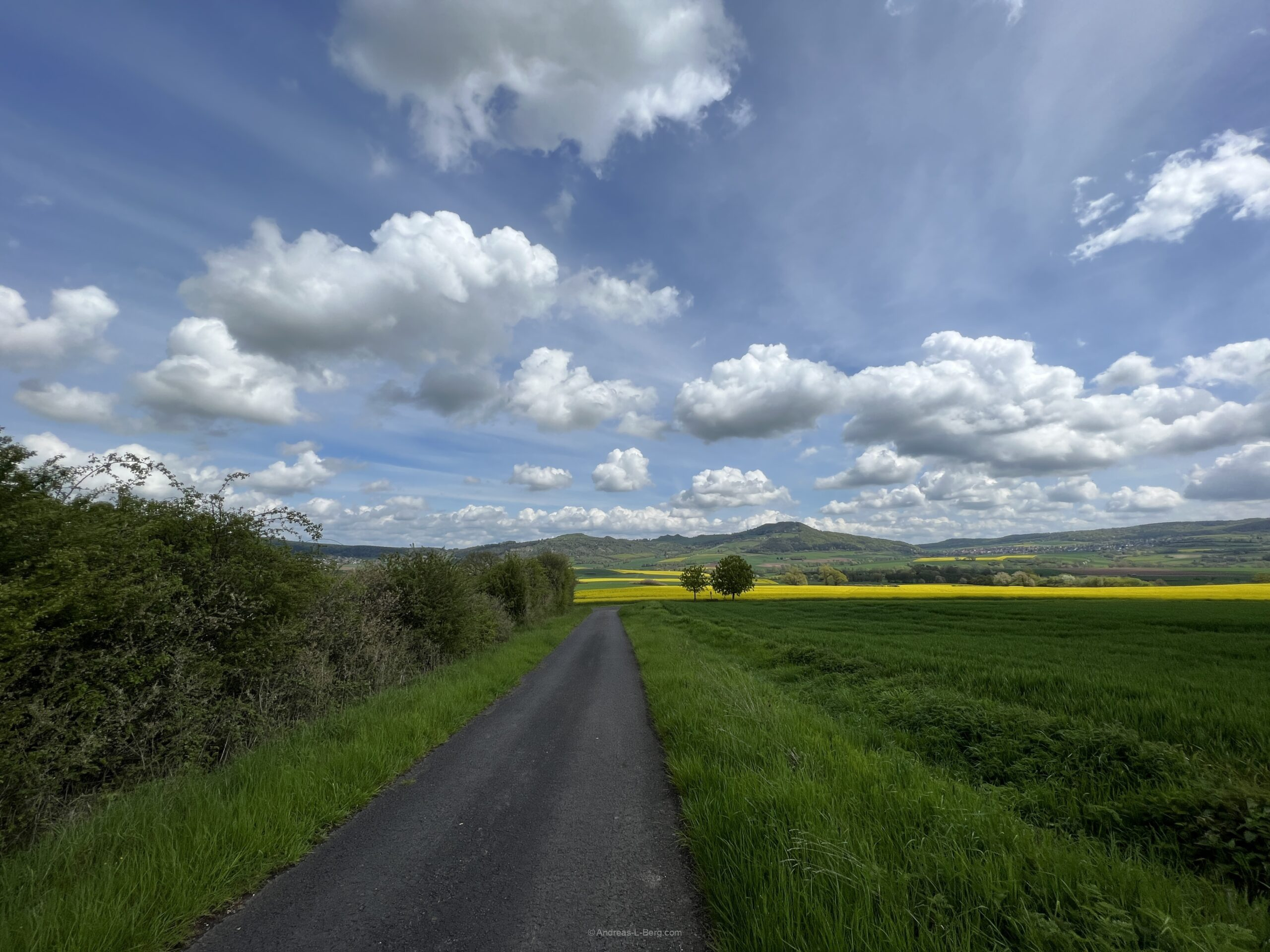 Trail