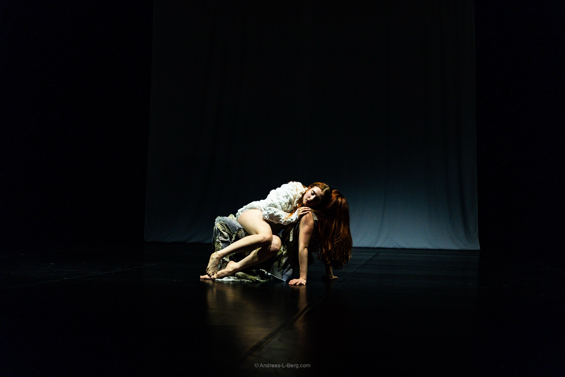 Shelter